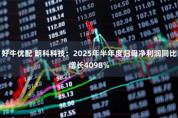 好牛优配 朗科科技：2025年半年度归母净利润同比增长4098%