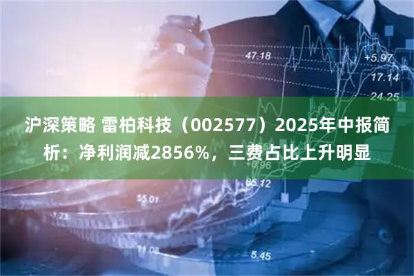 沪深策略 雷柏科技(002577)2025年中报简析:净利润减2856%,三费占比上升明显